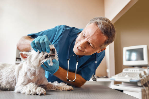 Best Emergency Root Canal Treatment in Crescent Springs, KY